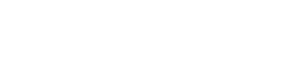 True Stereo Labs